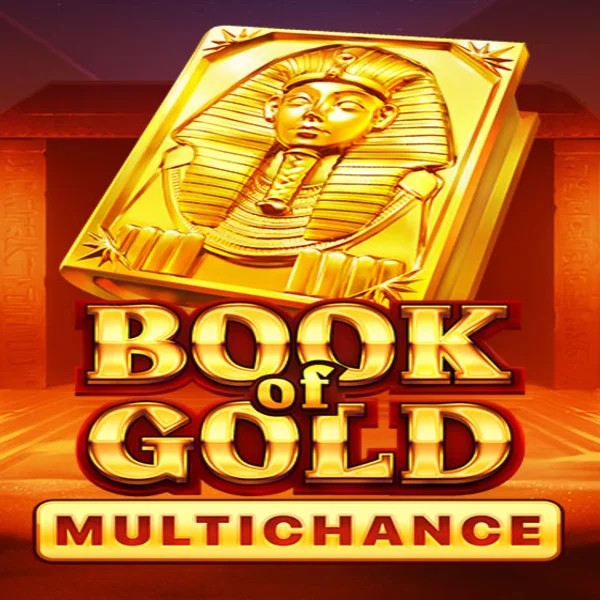 Book of Gold Multichance logo by Playson at X3bet casino